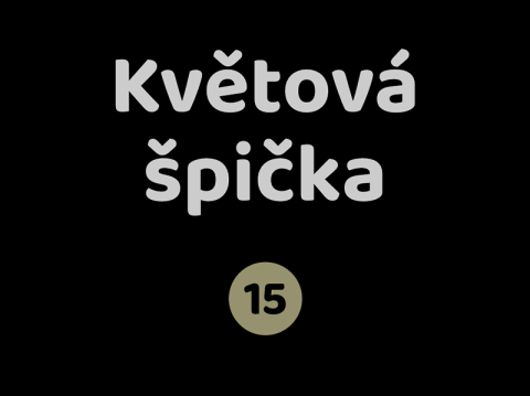 Květová špička