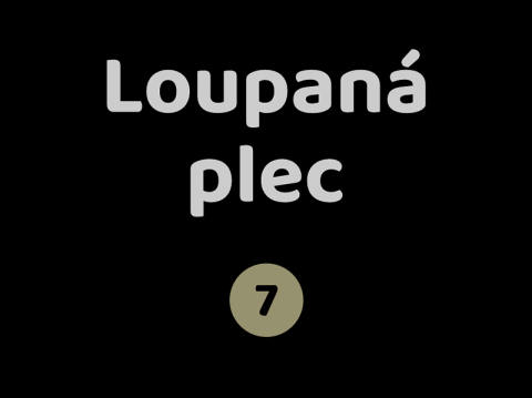 Loupaná plec