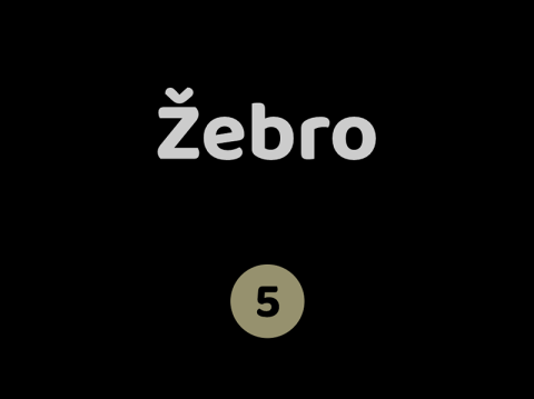 Žebro