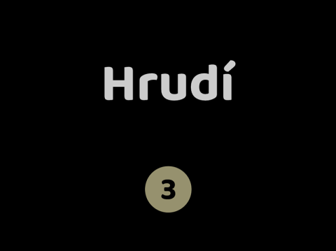 Hrudí